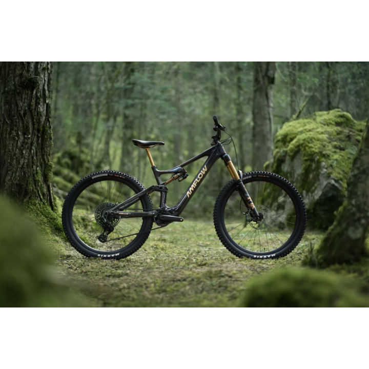 Amflow, le VTT électrique léger et puissant | Malu-Bike Monthey